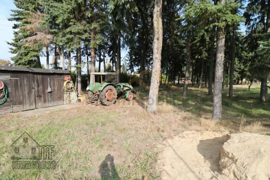 Garten2.JPEG