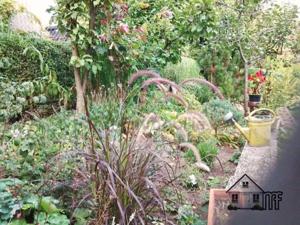 Garten Impressionen.JPEG