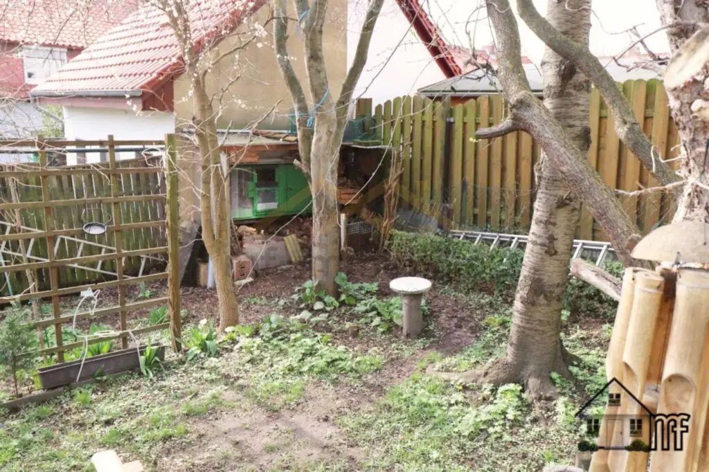 Garten vier.JPEG